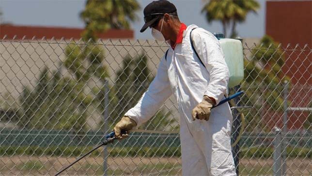افضل خدمات الرش بالمبيدات فى السعودية للقضاء على الحشرات
