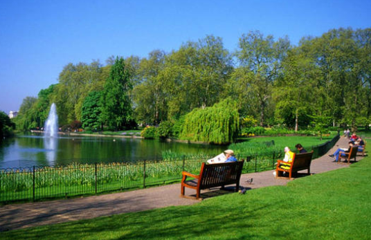 نصائح لتنظيف الحدائق العامة